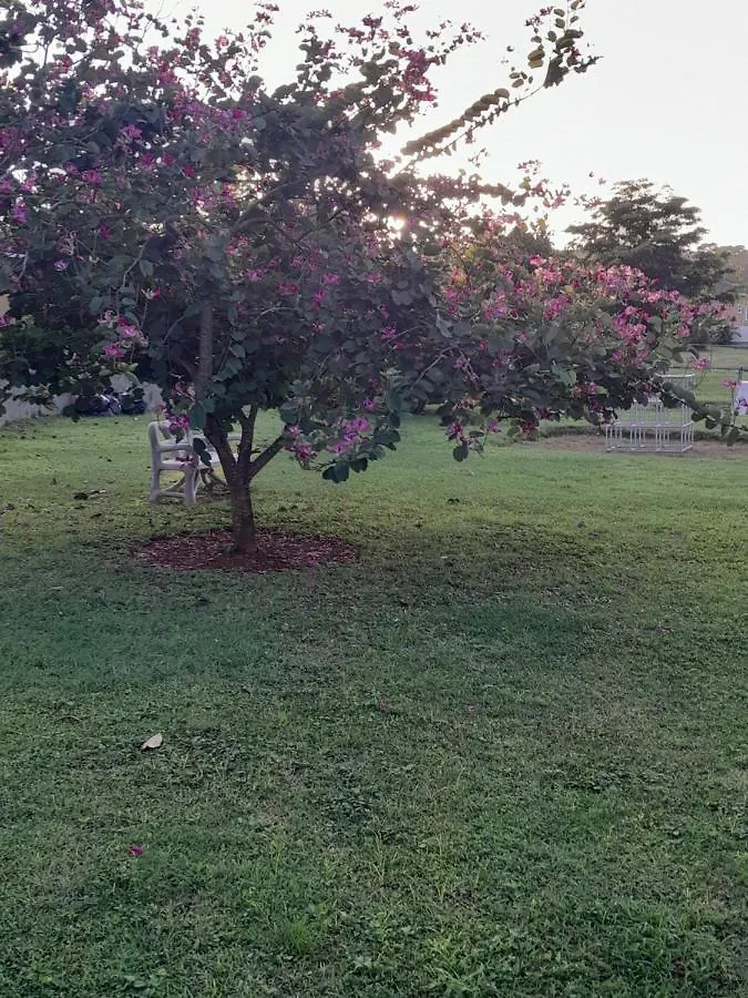 Harmony La Vista Villa Runaway Bay Jamaica