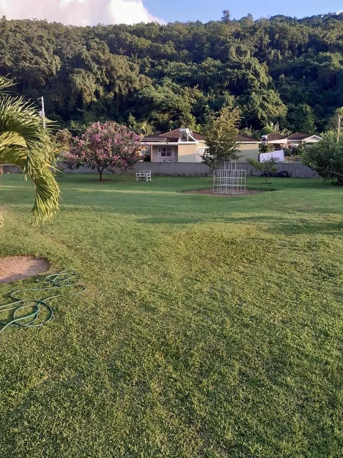 Harmony La Vista Villa Runaway Bay Holiday home